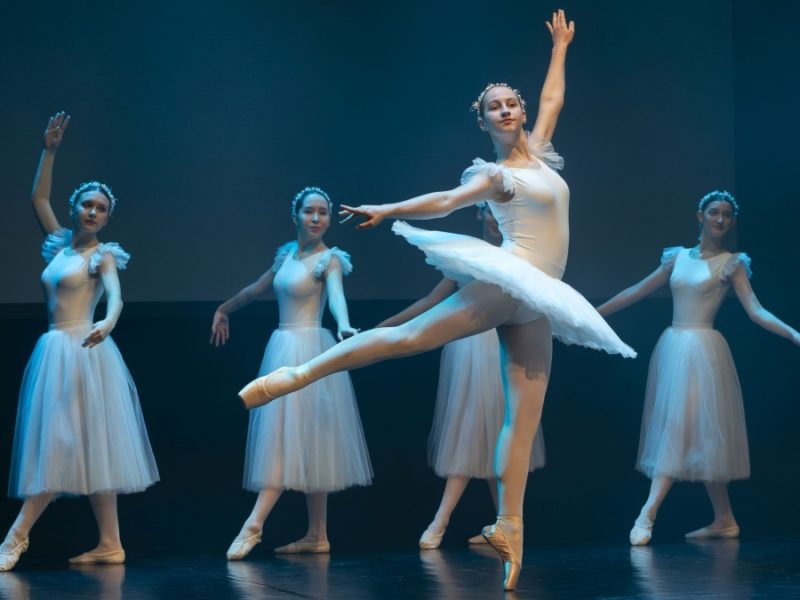 25. Požeški plesokaz