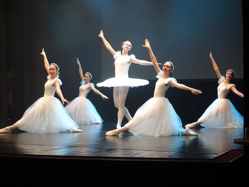 25. Požeški plesokaz